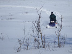 Blooming Valley Outfitters - SnoCats