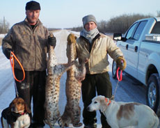 Blooming Valley Outfitters - BobCat Hunt